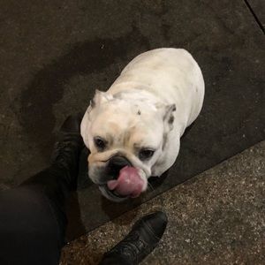 Meet your Posher, Laudsn